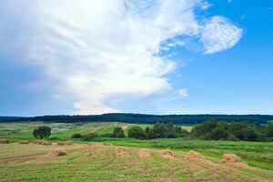 37% українців дотримуються думки, що земля не може бути об'єктом купівлі-продажу