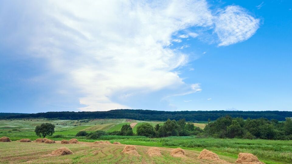 37% украинцев придерживаются мнения, что земля не может быть объектом купли-продажи