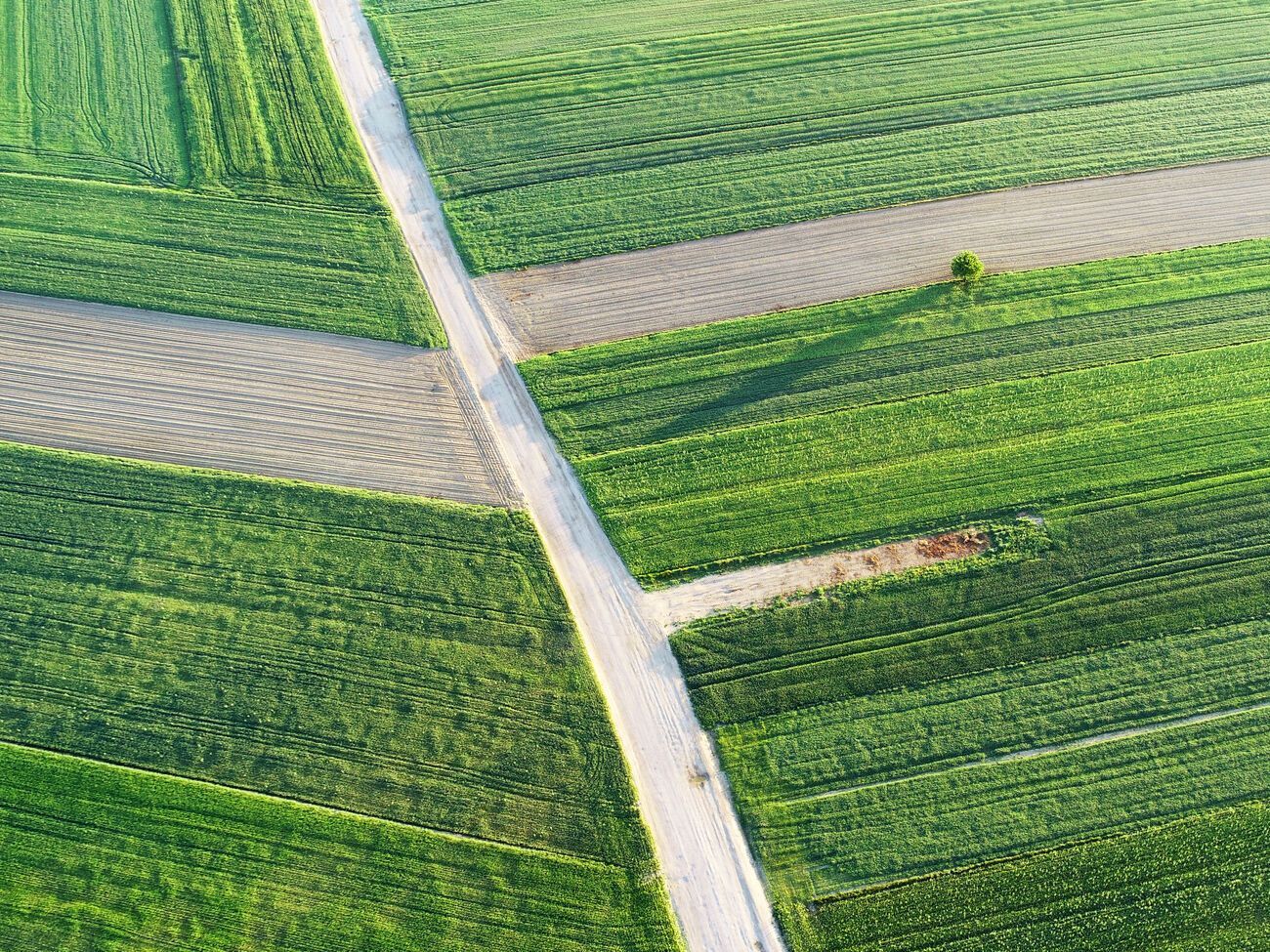 8% українців планують докупити собі ще землі