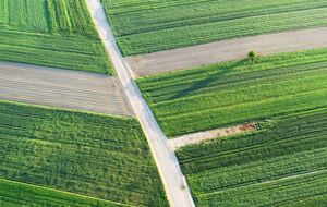 8% украинцев планируют докупить себе еще земли