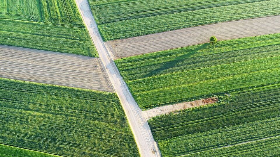 8% українців планують докупити собі ще землі