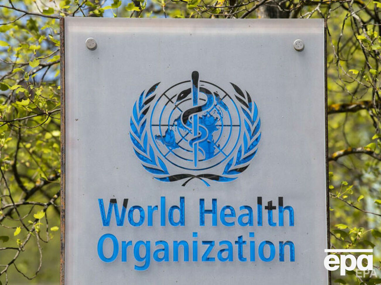 Розслідування виявило 83 причетних до сексуальних домагань, із них 21 співпрацював із ВООЗ