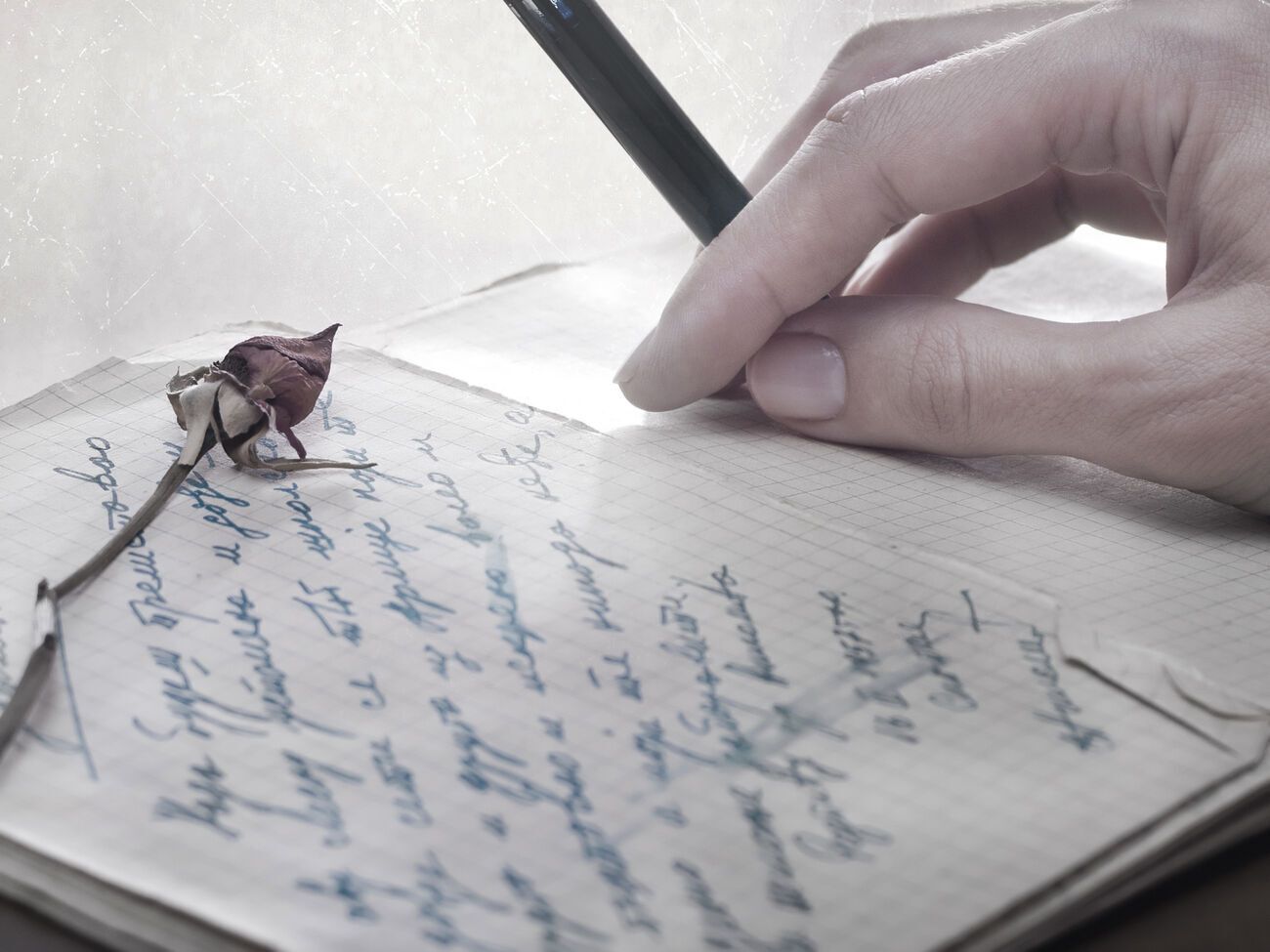 В антологию вошли 133 стихотворения 95 авторов, написанные от 1940-х годов до наших дней