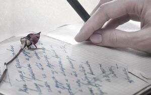 В антологию вошли 133 стихотворения 95 авторов, написанные от 1940-х годов до наших дней