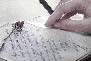 В антологию вошли 133 стихотворения 95 авторов, написанные от 1940-х годов до наших дней