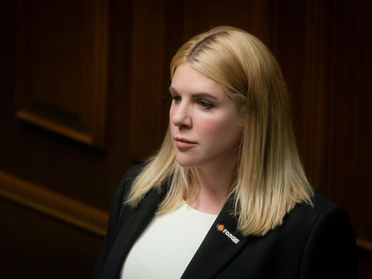 Рудик:&nbsp;Парламент будут "ломать через колено"