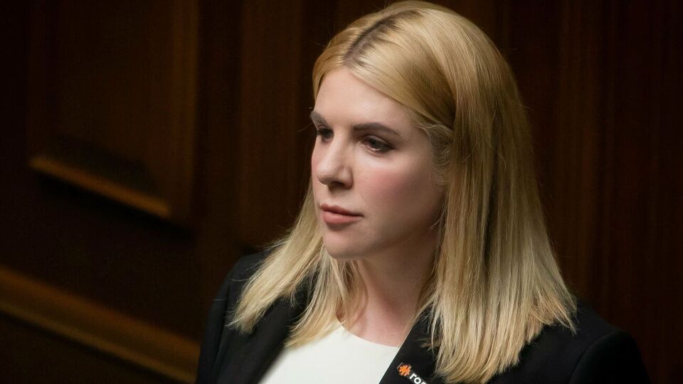 Рудик: Парламент будуть "ламати через коліно"