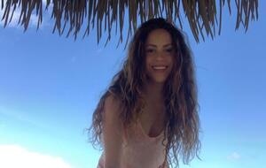 Шакира вернула сумку, но она была повреждена