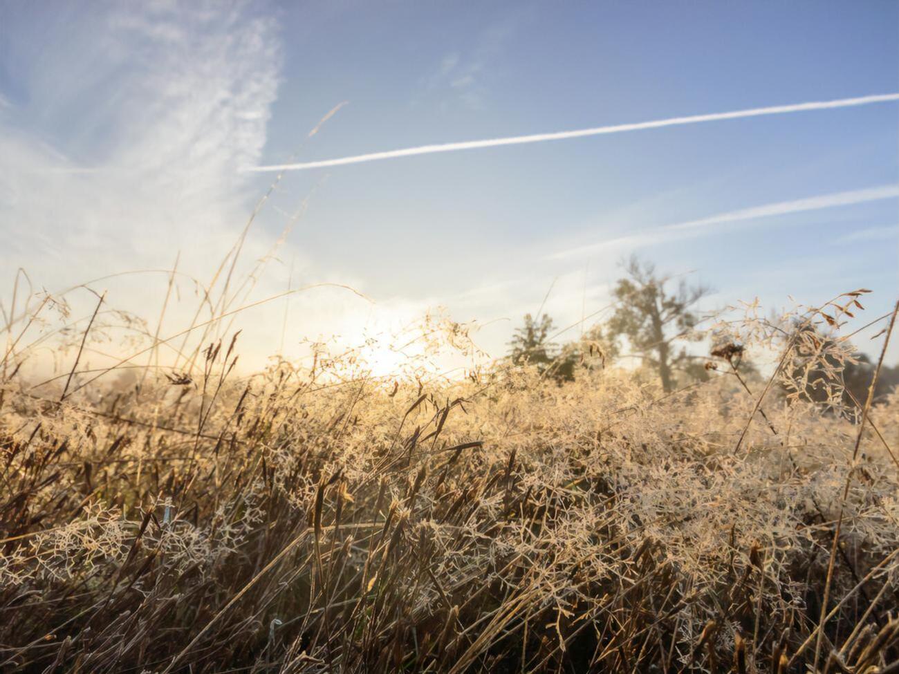 В Україну йдуть перші заморозки