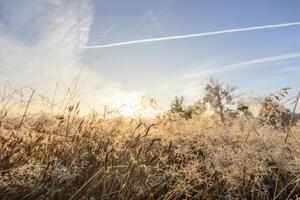 В Україну йдуть перші заморозки