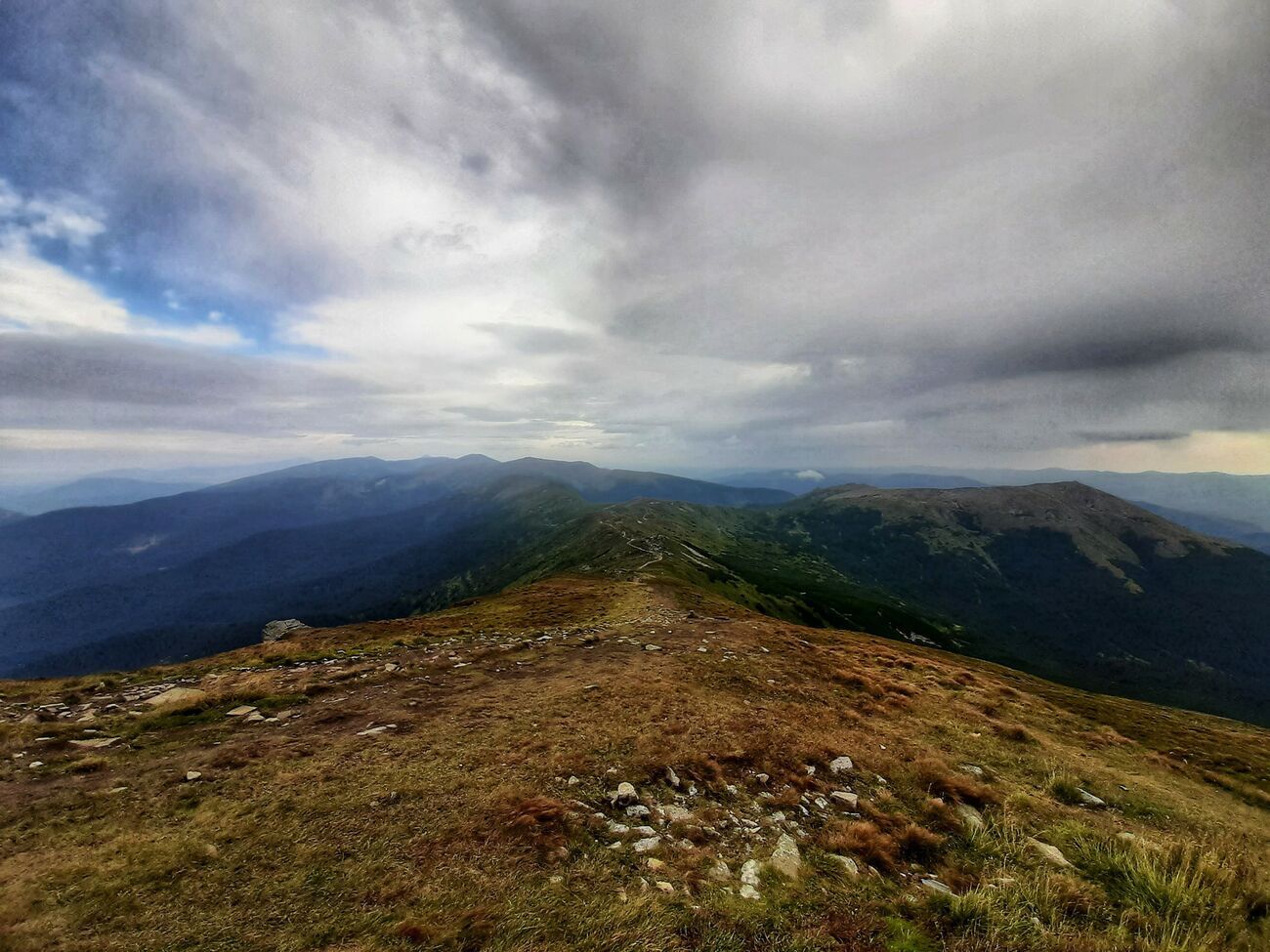 ГСЧС и Укргидрометцентр предупреждали о заморозках в Украине