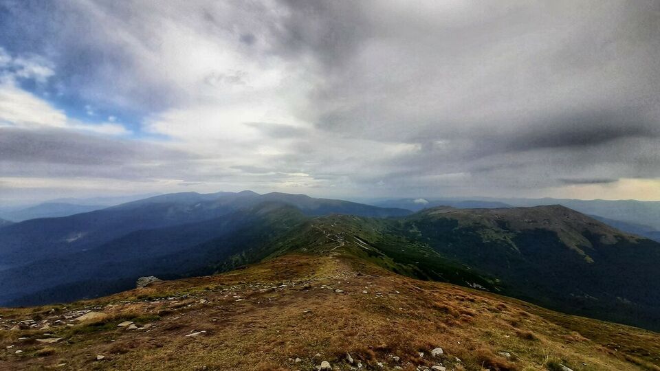 ДСНС і Укргідрометцентр попереджали про заморозки в Україні