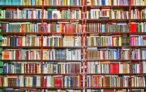 В Минкульте хотят, чтобы при отборе книг в библиотеки учитывали нормы антидискриминационного законодательства