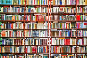 В Минкульте хотят, чтобы при отборе книг в библиотеки учитывали нормы антидискриминационного законодательства