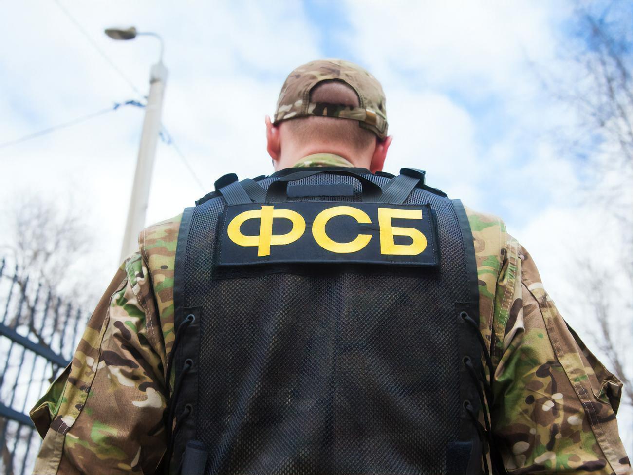 Проект появился на сайте после того, как ФСБ обвинила украинскую разведку и Меджлис в организации "диверсии" в Крыму