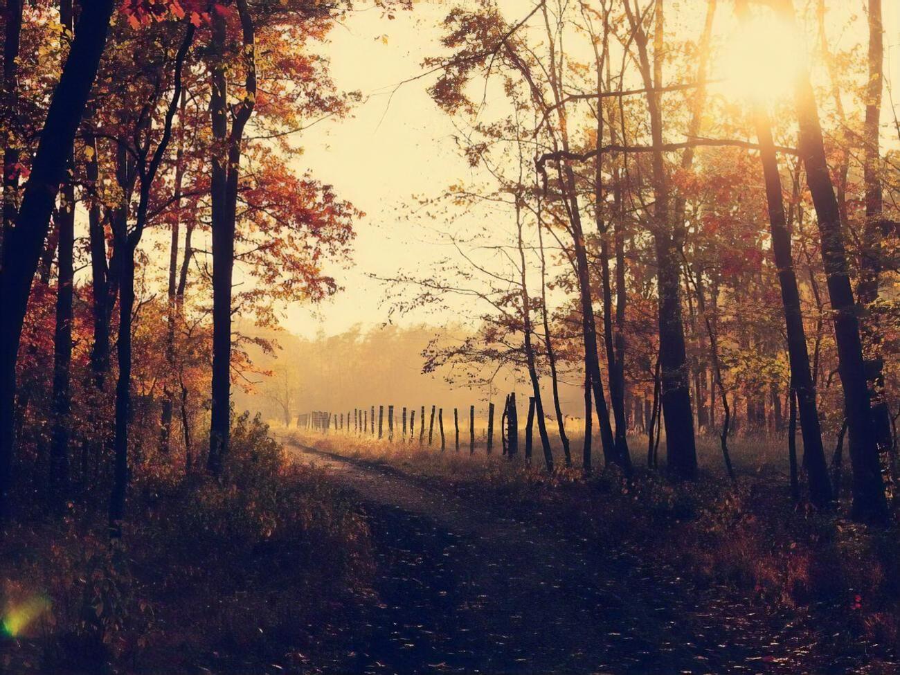 Температура повітря в Україні буде комфортною +20...+25 &deg;C