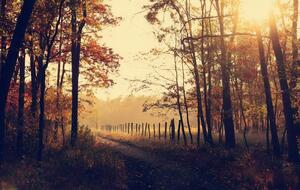 Температура повітря в Україні буде комфортною +20...+25 °C