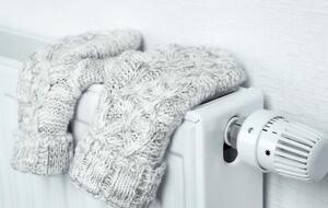 За тарифы на тепло и горячую воду отвечают местные власти, отметил Шмыгаль