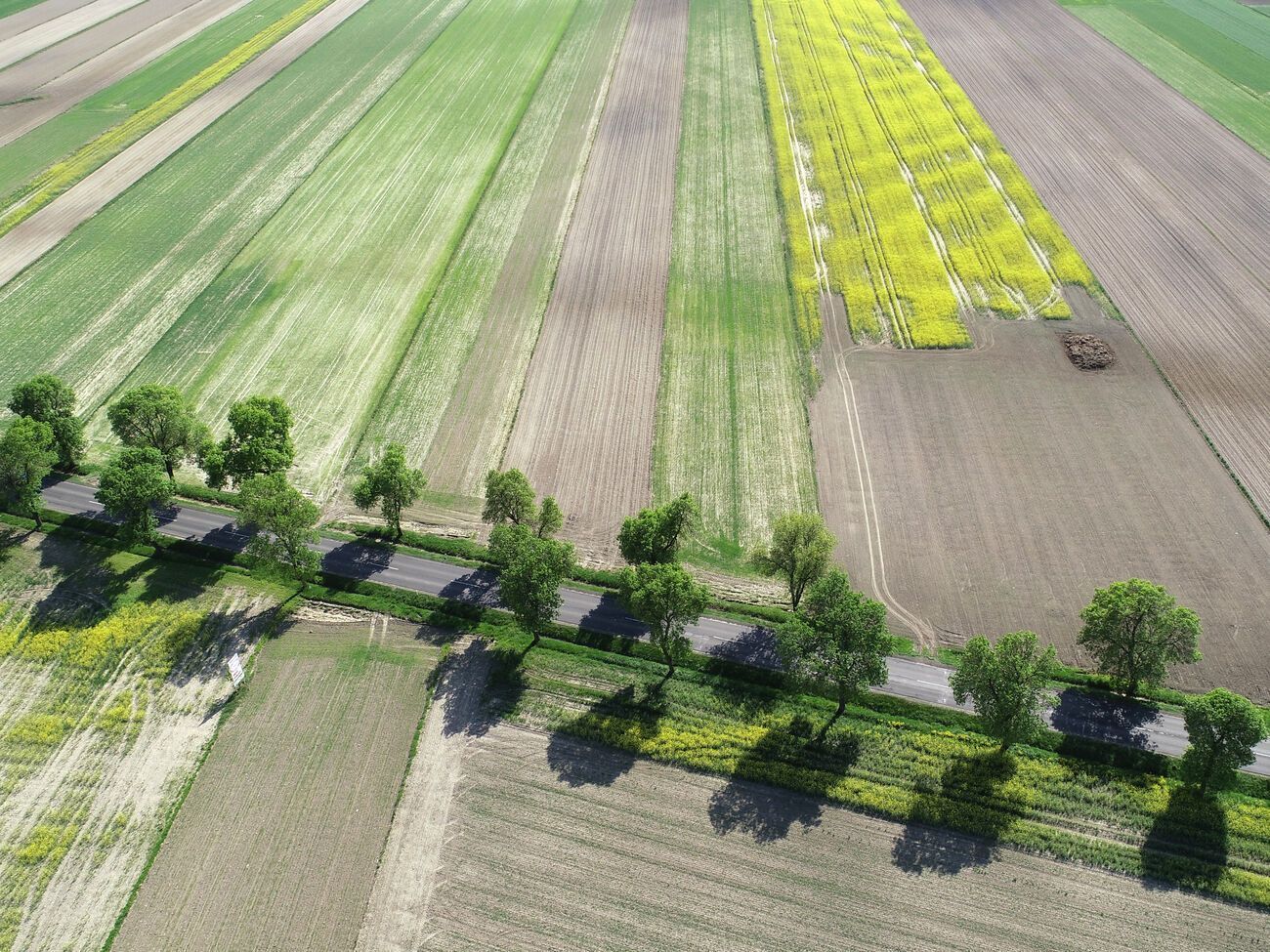 Ринок землі відкрили в Україні 1 липня