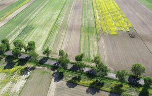 Рынок земли открылся в Украине 1 июля