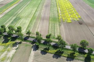 Рынок земли открылся в Украине 1 июля