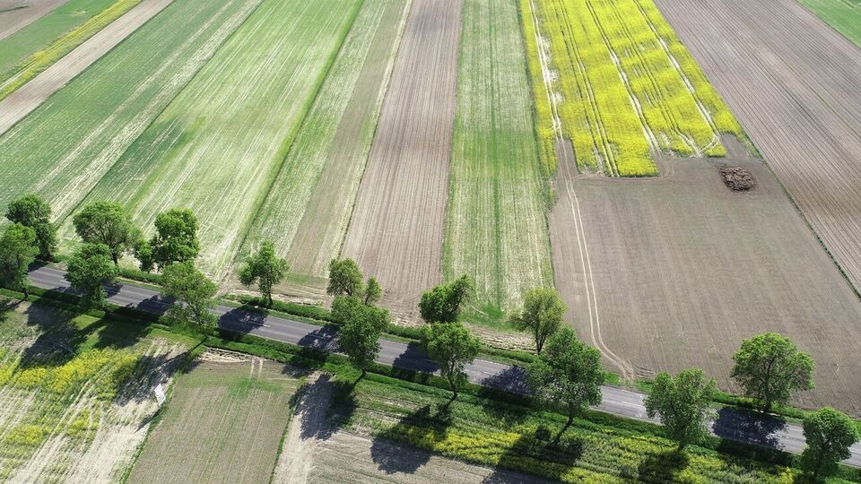 Ринок землі відкрили в Україні 1 липня