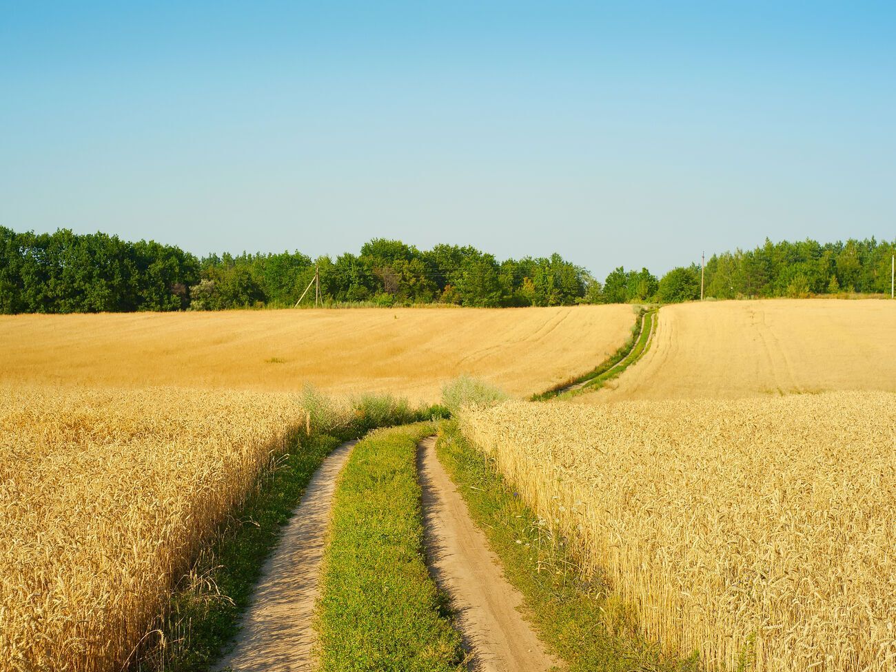 Мораторій на продаж земель сільськогосподарського призначення запровадили в Україні 2001 року