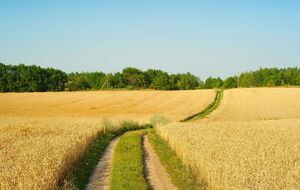 Мораторий на продажу земель сельскохозяйственного назначения был введен в Украине в 2001 году