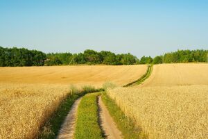 Мораторий на продажу земель сельскохозяйственного назначения был введен в Украине в 2001 году