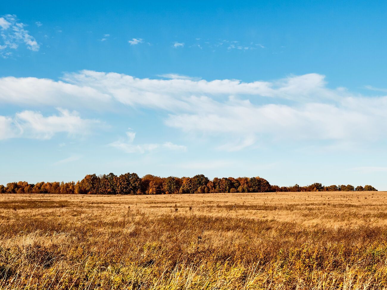 Ринок землі в Україні відкрили 1 липня цього року