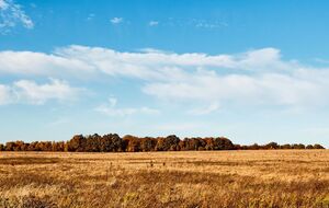 Рынок земли в Украине открылся 1 июля этого года