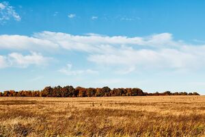 Рынок земли в Украине открылся 1 июля этого года