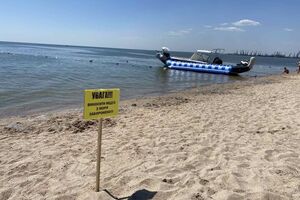 Орендарі пляжів у липні просили відпочивальників не виносити медуз на берег, їх збирали і вивозили комунальники