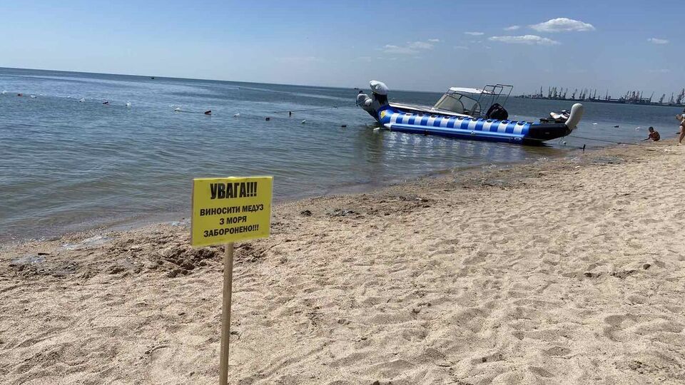 Орендарі пляжів у липні просили відпочивальників не виносити медуз на берег, їх збирали і вивозили комунальники