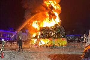 Ялинка загорілася за кілька хвилин після настання Нового року. Її швидко загасили, але містяни встигли зробити ефектні знімки
