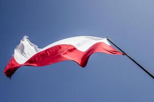 Дещиця зазначив, що переговори з Польщею щодо вивчення української мови тривають