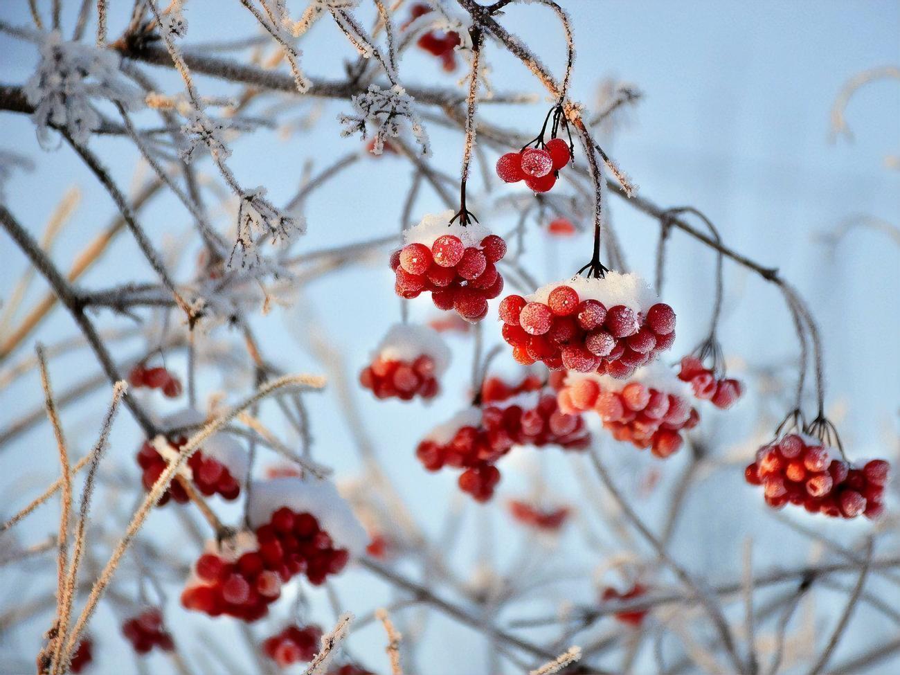 11 січня в Україні почнеться похолодання