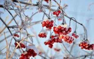 11 січня в Україні почнеться похолодання