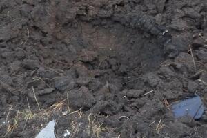 Військові відновлювали мінно-вибухові загорожі, повідомили у прокуратурі