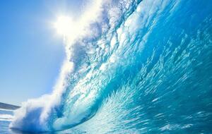 Ученые говорят, что нагрев океанов в первую очередь вызван климатическим кризисом, который спровоцировало человечество