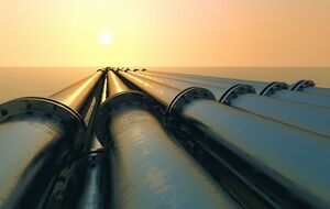 Максимальный суточный объем оттока газа зафиксирован 10 января, пишет "РБК-Украина"