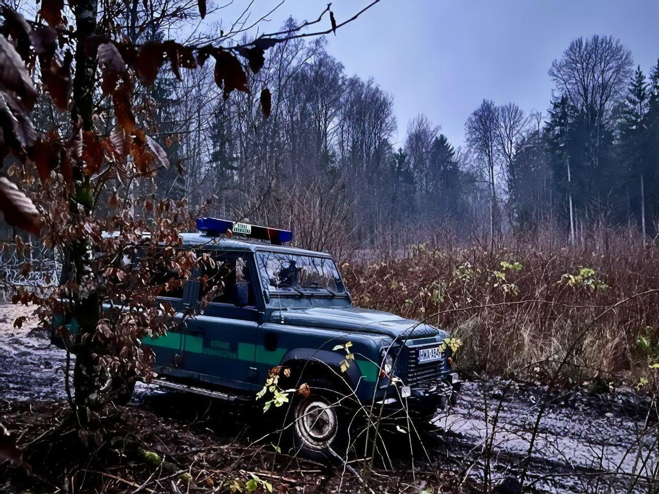 11 января&nbsp;на территорию Польши&nbsp;с помощью белорусских пограничников пытались незаконно попасть&nbsp;68 мигрантов