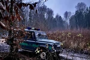 11 января на территорию Польши с помощью белорусских пограничников пытались незаконно попасть 68 мигрантов