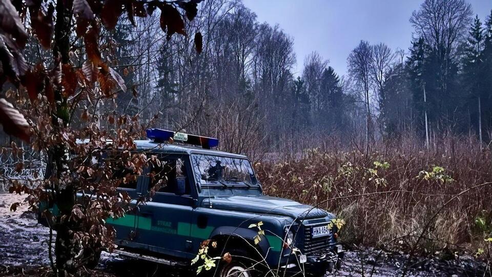 11 января на территорию Польши с помощью белорусских пограничников пытались незаконно попасть 68 мигрантов
