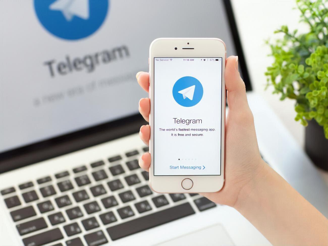 Мессенджер Telegram появился в 2013 году