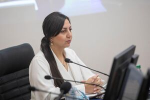 Акопян: Есть какие-то единичные случаи, когда нелегалы пытаются пересечь границу