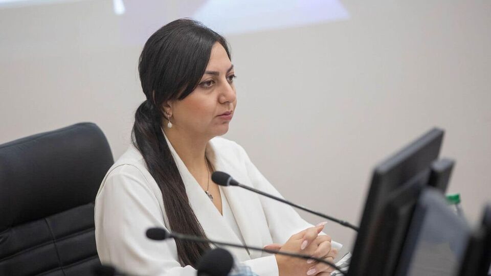 Акопян: Есть какие-то единичные случаи, когда нелегалы пытаются пересечь границу