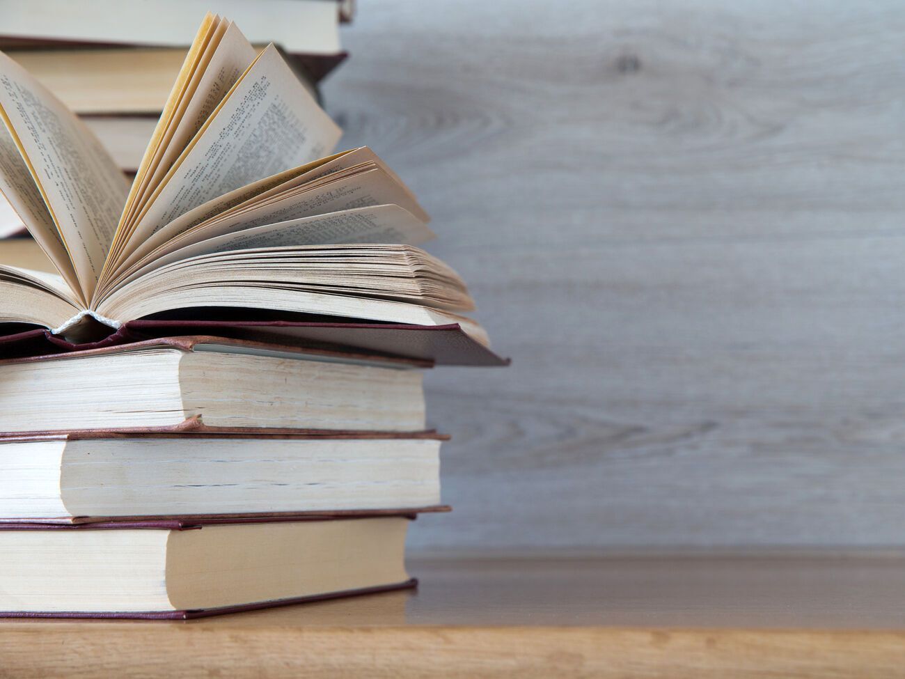 Книжки, які Держкомітет не дозволив ввозити, є яскравим прикладом російської пропаганди, вважають експерти