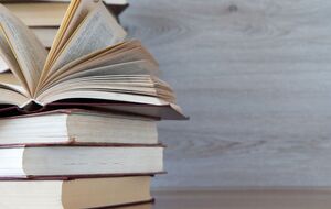 Книжки, які Держкомітет не дозволив ввозити, є яскравим прикладом російської пропаганди, вважають експерти