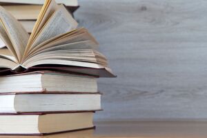Книжки, які Держкомітет не дозволив ввозити, є яскравим прикладом російської пропаганди, вважають експерти